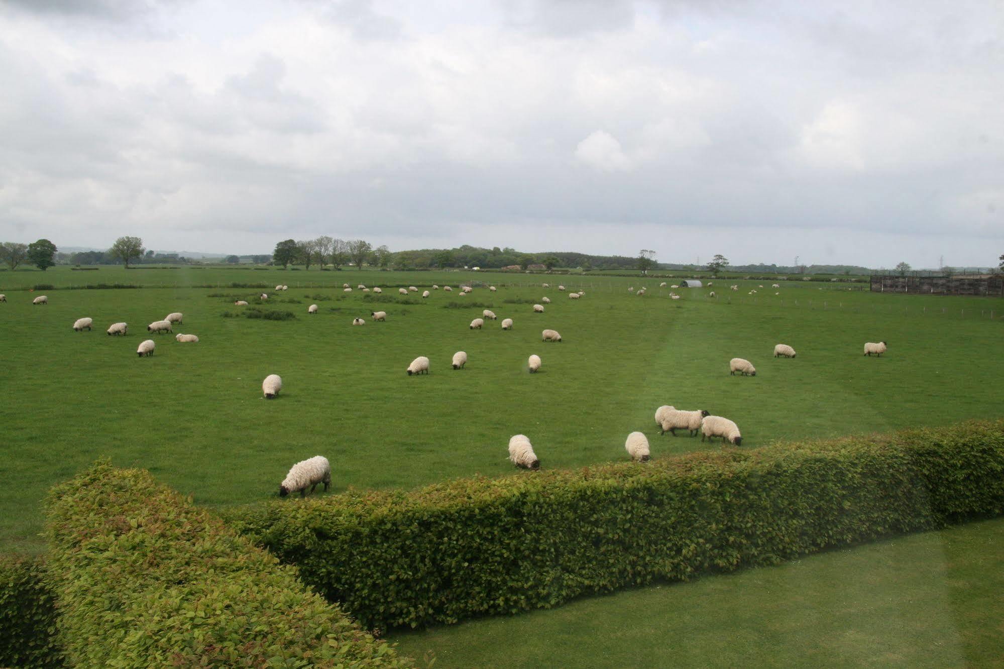 Northumberland Cottage B&B Acklington Экстерьер фото